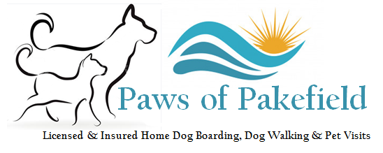 Home dog 2024 boarding prices